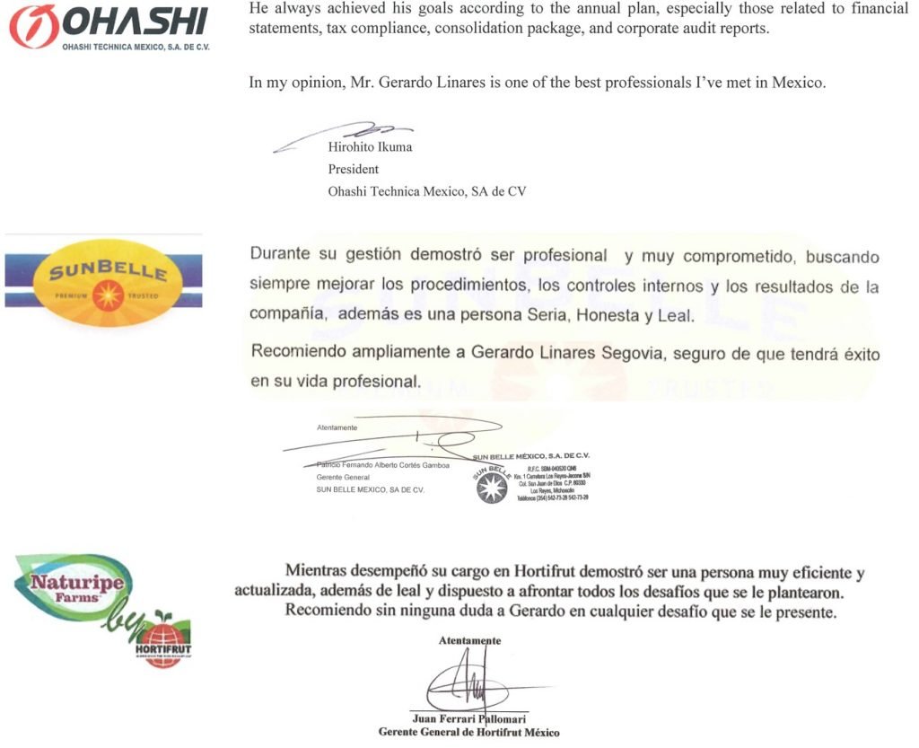 Recomendaciones Empresas sobre mis Servicios Profesionales