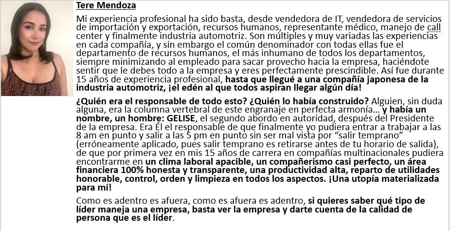 Testimonio Tere Mendoza sobre mis Servicios Profesionales