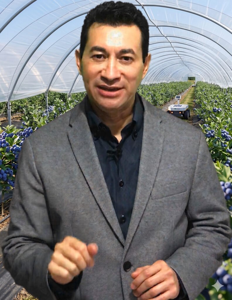 Gelise en macrotúnel de arándano