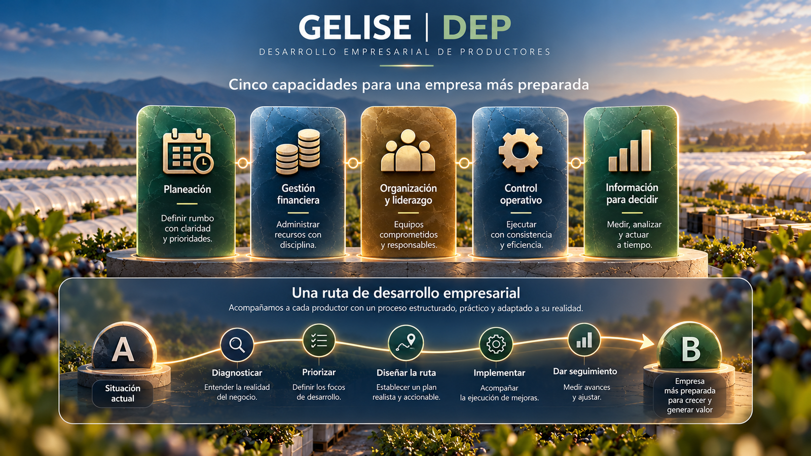GELISE DEP: cinco capacidades empresariales y ruta de desarrollo desde la situación actual hasta una empresa más preparada; diagnóstico, prioridades, ruta, implementación y seguimiento.